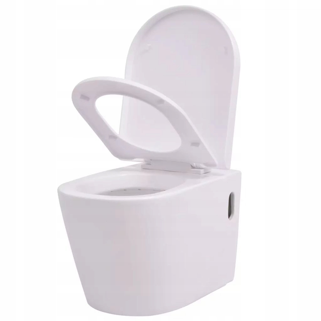 WC misa - Toaleta bielej misy toaleta zavesená na dosku