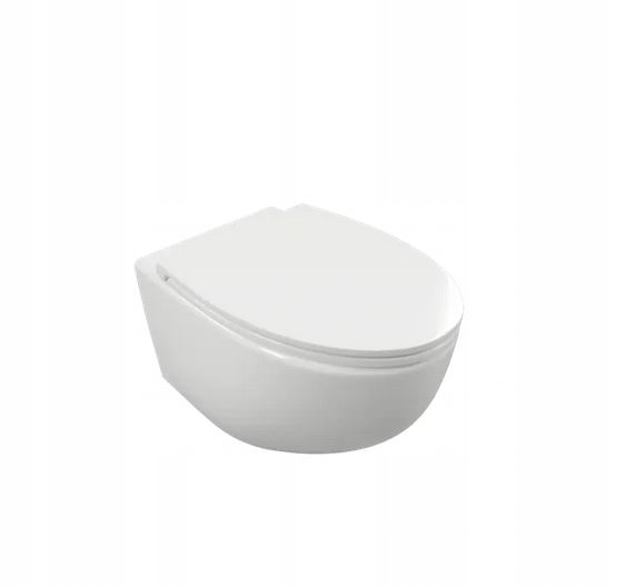 WC misa - Vynikajúca misa na bývanie s doskou s 530 x 360 mm