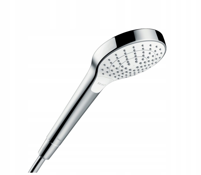 Sprchová hlavica - Hansgrohe Vario Ecosmart Sprchova hlava