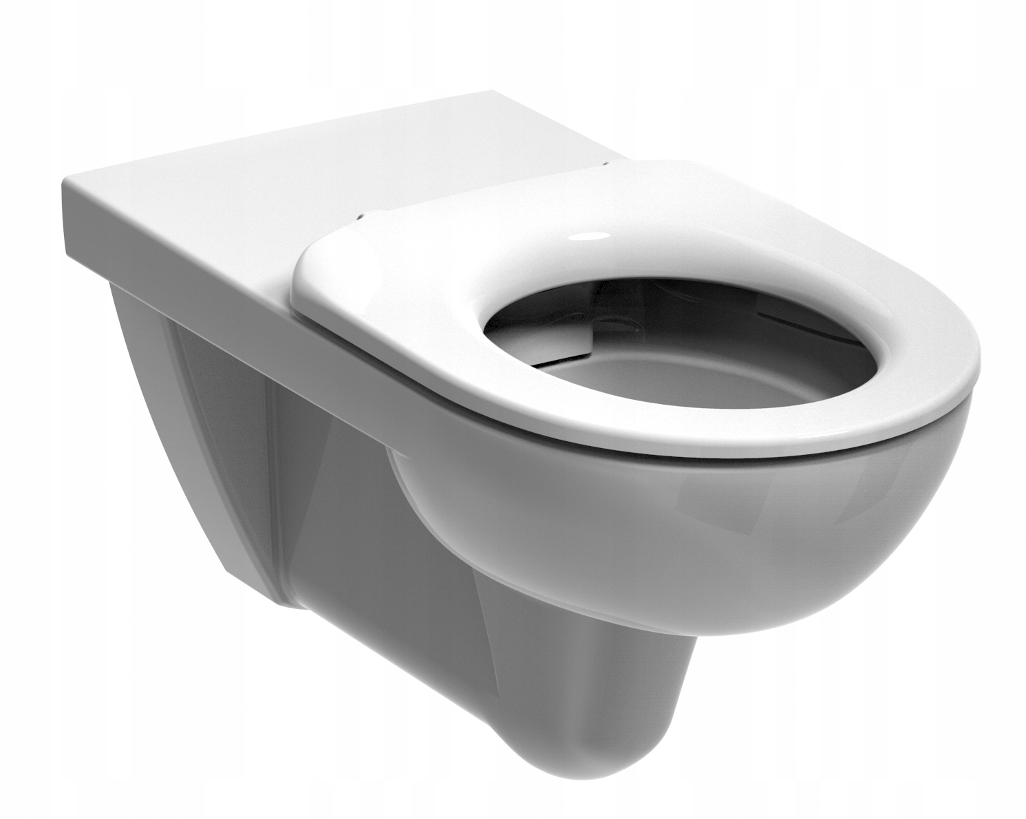 WC misa - V blízkosti Nova Pro Hanging Bowl Rimfree pre zdravotné postihnutie