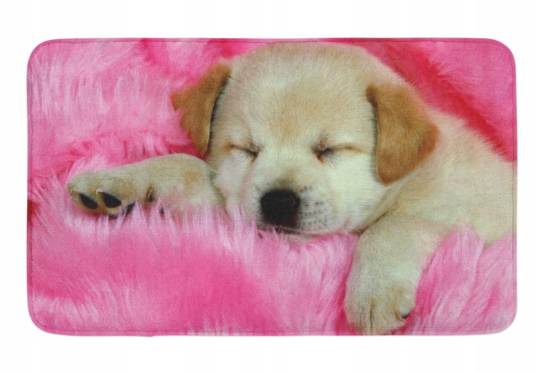 Kúpelňová predložka - Mata Kúpeľňa koberec 45x75 Pes