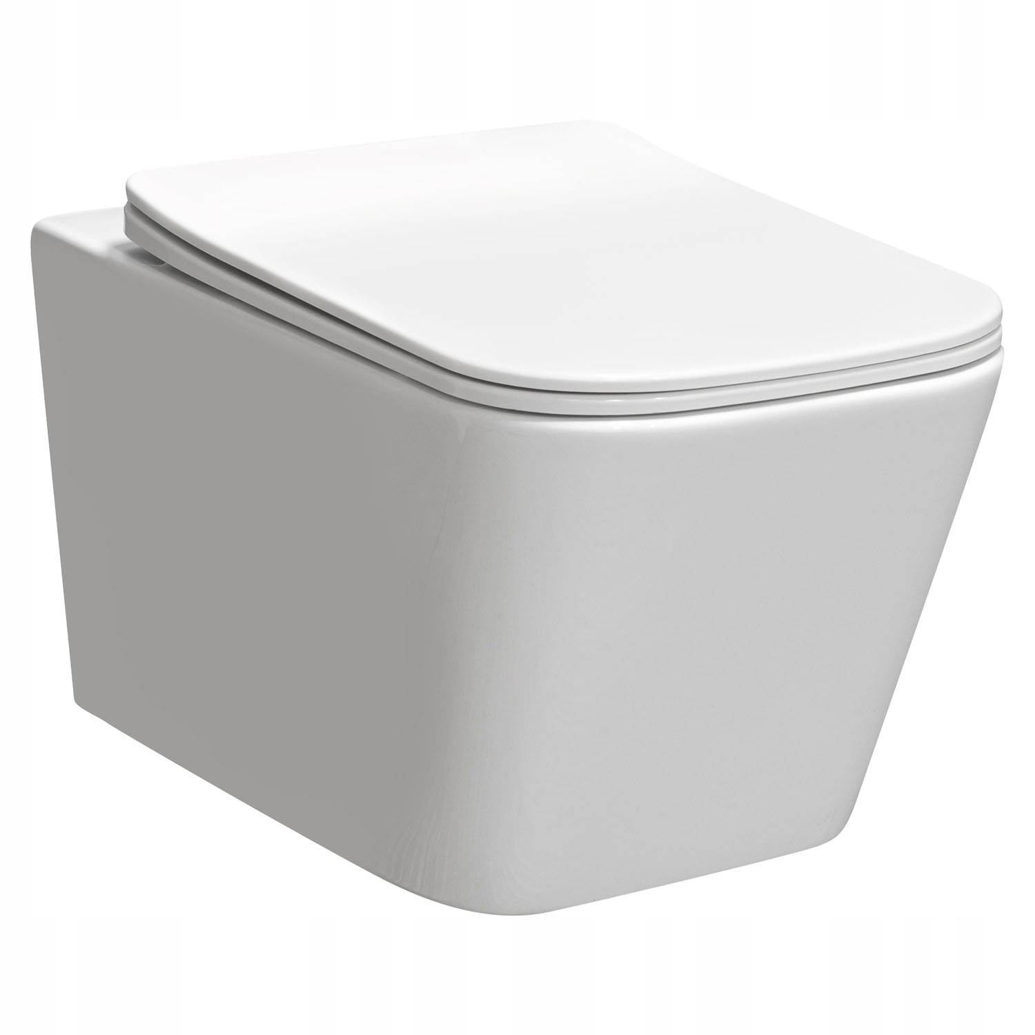 WC misa - Zasknutá biela toaleta, pomaly -ukladanie dosky