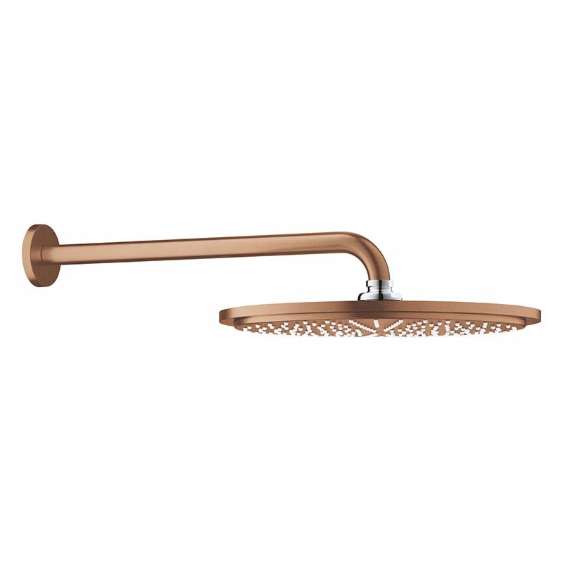 Rainshower Cosmopolitan 310 Dažďová voda z ramena