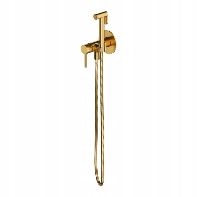 Omnires Preston Bidet Bidet set Złoton